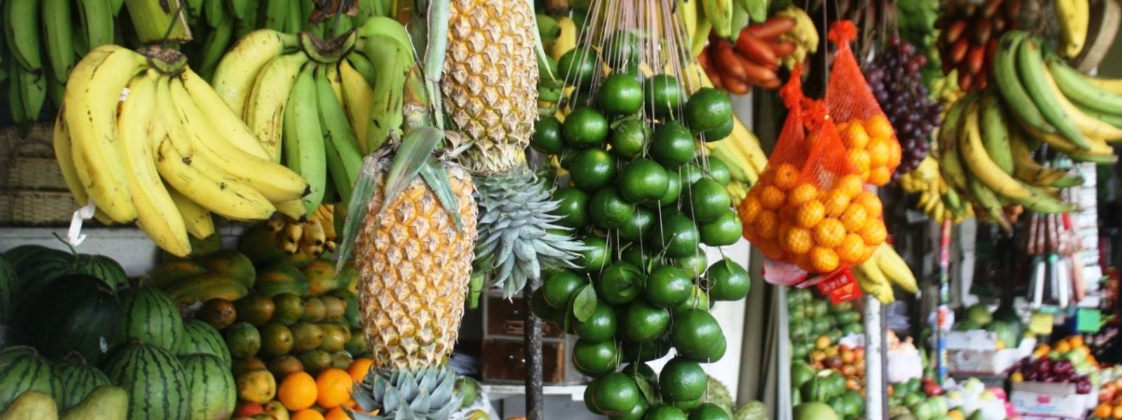 Sri Lanka to Certify Fruit Vendors and Farmers